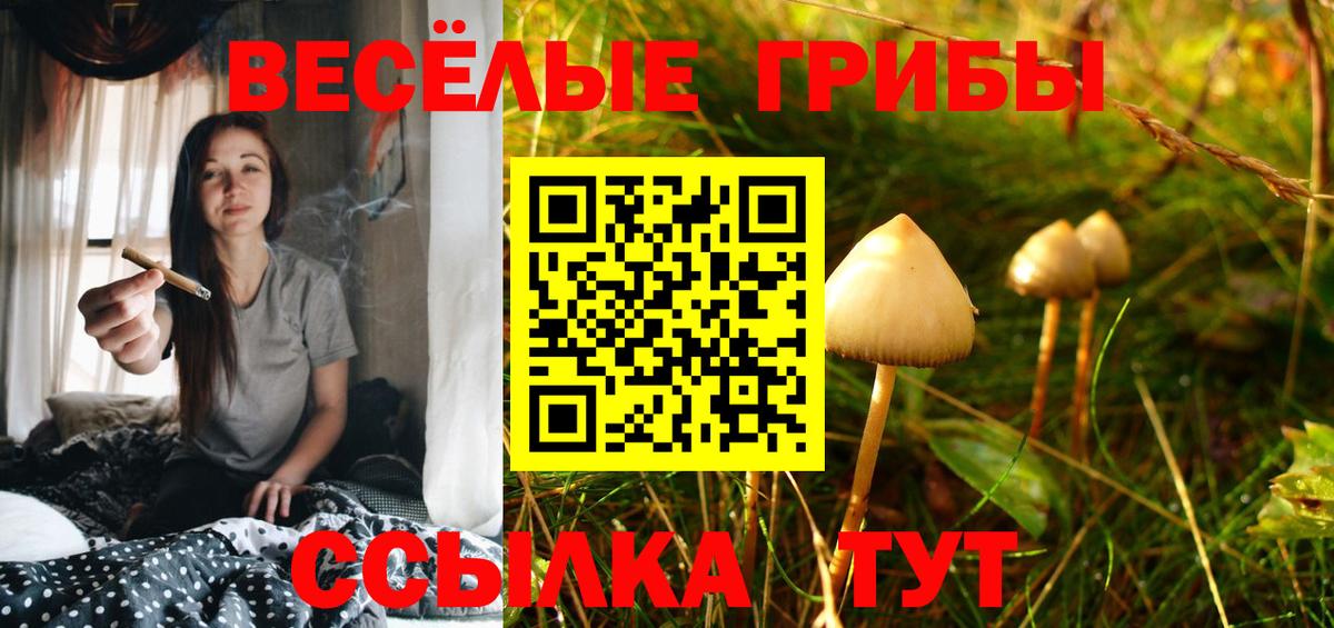 Галлюциногенные грибы ЛСД Азов